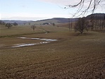 A farm az erdő felől