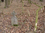 Régi temető at erdőben