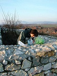 Loggolás