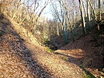A természet