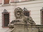 Rámmordult, amikor a pikkelyeket kerestem :o)