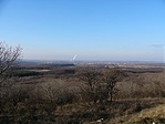 Panoráma