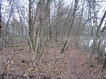 2.pont környéke