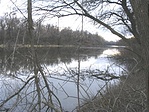 3. pont felől a holtág