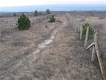 Kerengő