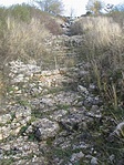 geológiai szelvény