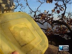 Geocache from Snake