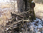 Néhány gallyal alig észrevehetően, gondosan álcázva elrejtettem a ládát úgy, ahogy azt a geocaching játék során sok-sok helyen tapasztaltam :))))))))))