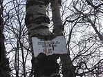 Csendrendelet