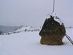 Szénakazal