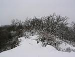 A láda irányába tekintve