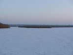 Nádasok
