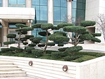 A park
