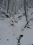 a forrás