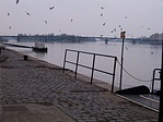 madarak