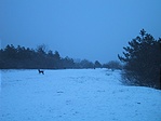 Kutya-idő