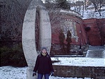 Bogár