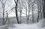Tél