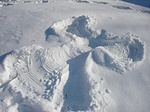 Hóangyal