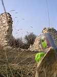 Tralien búcsúzik