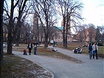 Pécs1