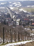 Kilátás a szőlőhegyről
