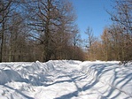 Visszafelé