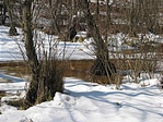 Ingovány