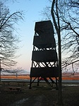 Kilátó
