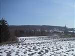 A szőlőhegy
