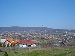 Panoráma