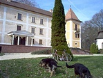 Nyálas barátaink