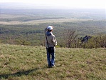 kilátás