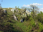 sziklák & fák