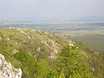 Várpalota (szerintem)