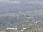 Kotenger