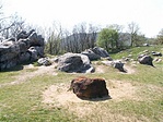 Fekete barany