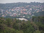 Murvabanya csucske