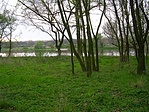 a horgásztó