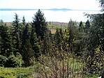 kilátás1
