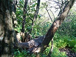 rejtek