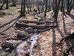 forrás