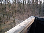 erdő
