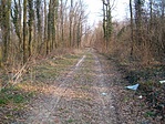 út
