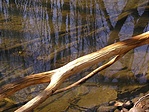 Pasztel színek