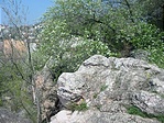 Balogh Ádám szikla