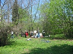 Piknik