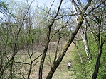 A magasból