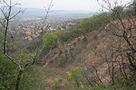 Szakadék