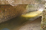 Zöld